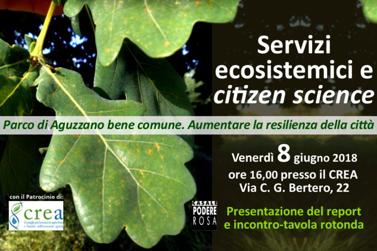 Valutazione dei servizi ecosistemici nel Parco di Aguzzano – Presentazione report venerdì 8 giugno