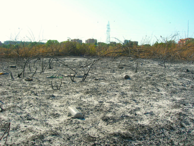 2020: incendio nel parco di Aguzzano