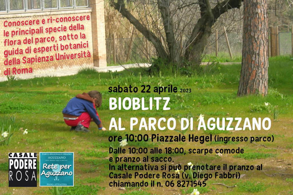 Bioblitz al Parco di Aguzzano 22 aprile 2023
