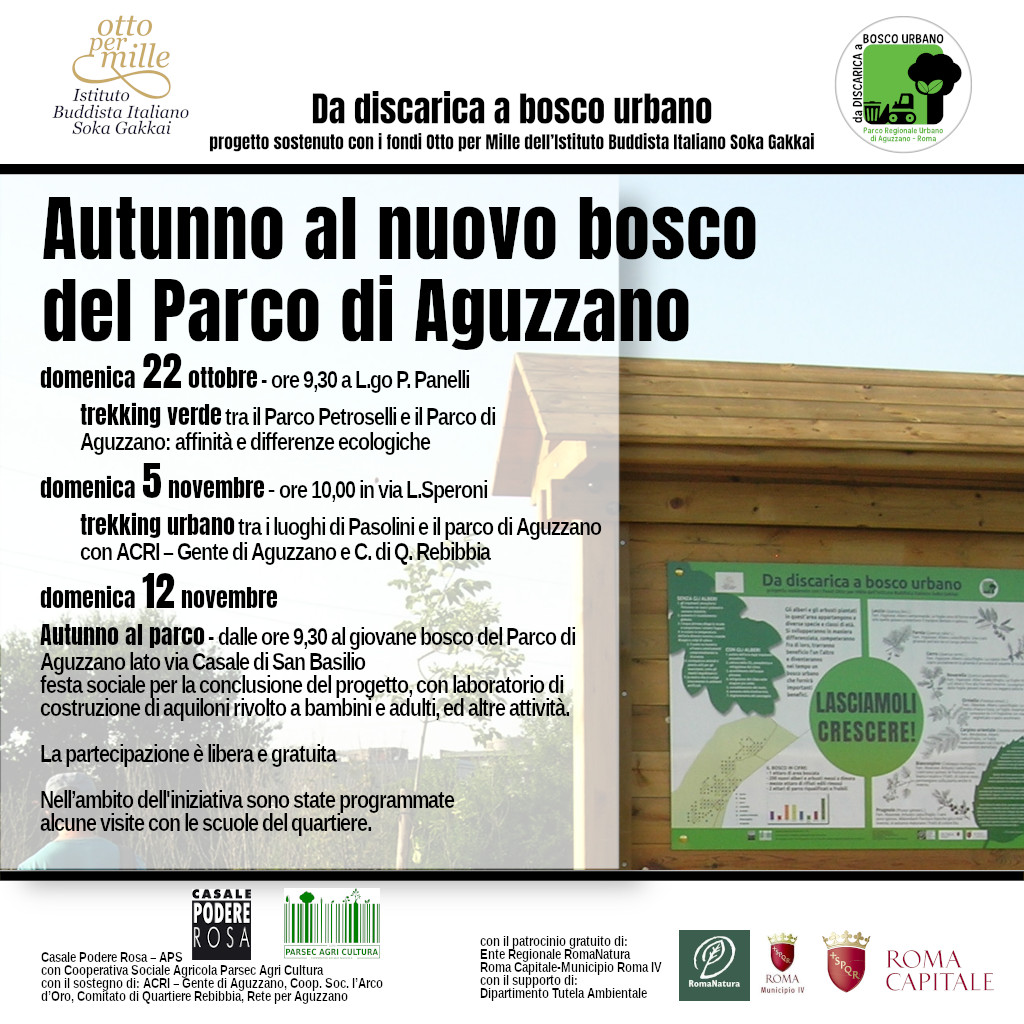 Autunno al nuovo bosco del Parco di Aguzzano – 22 ottobre - 19 novembre 2023
