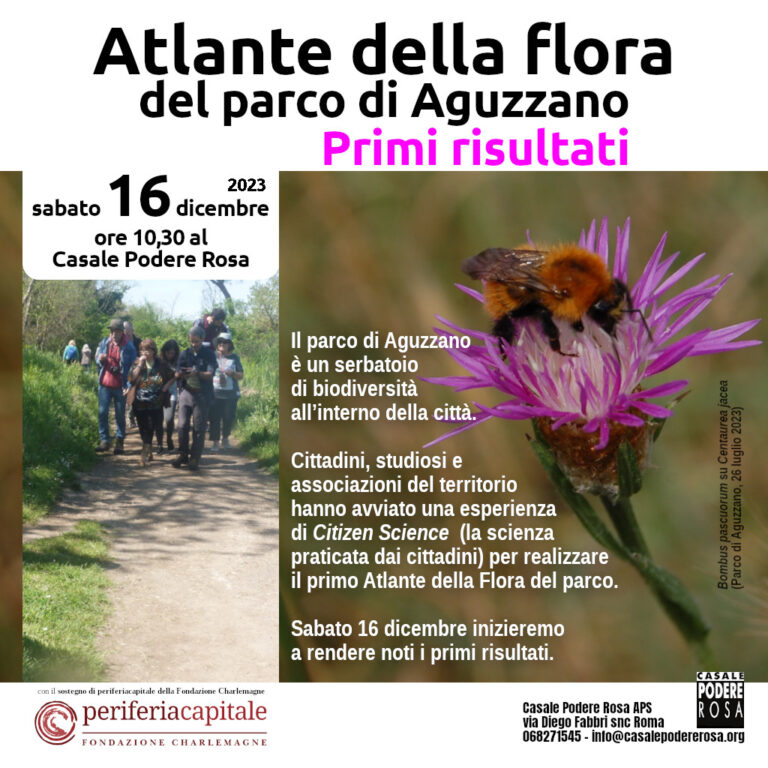 Atlante della flora del parco di Aguzzano. Primi risultati. Sabato 16 dicembre 2023