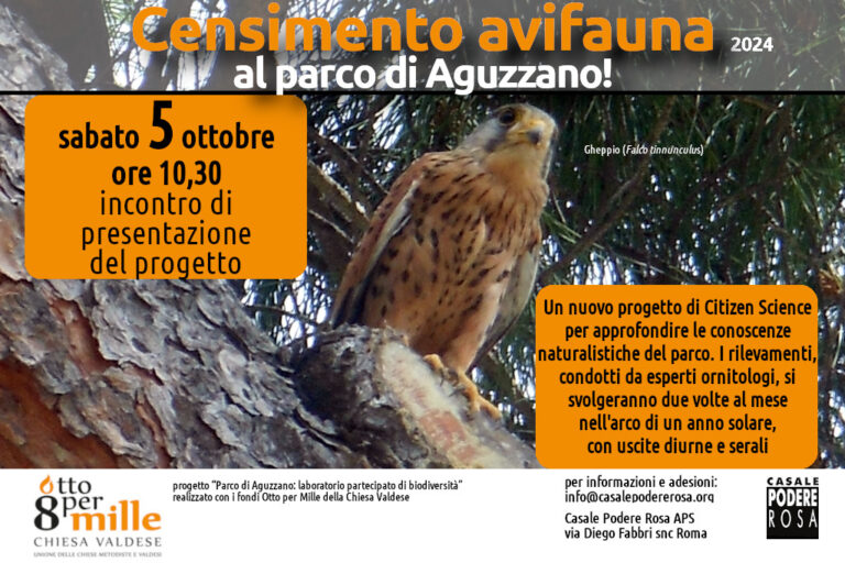 Censimento dell’avifauna, percorso di scienza partecipata (Citizen Science) Sabato 5 ottobre h.10,30