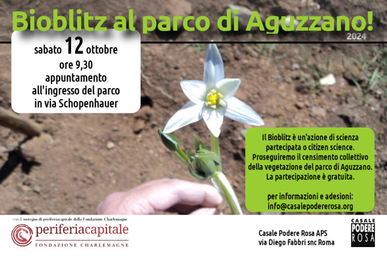 Bioblitz al Parco di Aguzzano – sabato 12 ottobre 2024