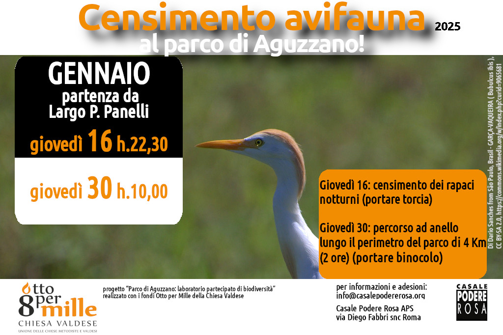 https://casalepodererosa.org/censimento-dellavifauna-appuntamenti-sul-campo-giovedi-16-e-giovedi-30-gennaio-2025/