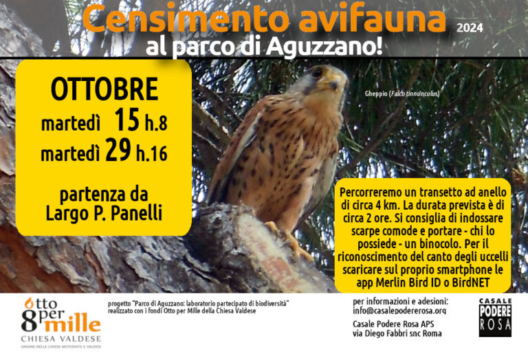 Censimento dell’avifauna, appuntamenti sul campo: martedì 15 e martedì 29 ottobre 2024