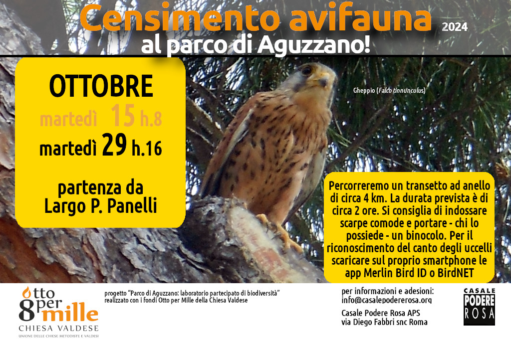 Censimento dell’avifauna, appuntamenti sul campo: martedì 15 e martedì 29 ottobre 2024