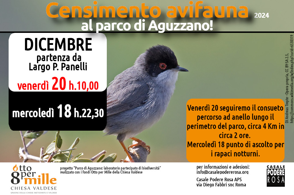 Censimento dell’avifauna, appuntamenti sul campo: mercoledì 18 e venerdì 20 e dicembre 2024