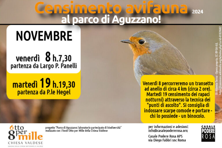 Censimento dell’avifauna, appuntamenti sul campo: venerdì 8 e martedì 19 novembre 2024