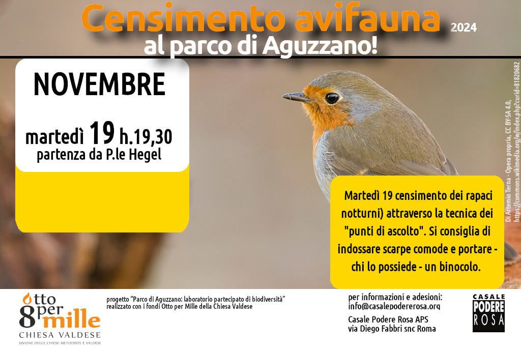 Censimento dell’avifauna, appuntamenti sul campo: martedì 19 novembre 2024