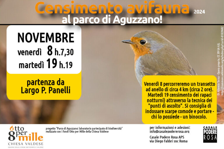 Censimento dell’avifauna, appuntamenti sul campo: venerdì 8 e martedì 19 novembre 2024