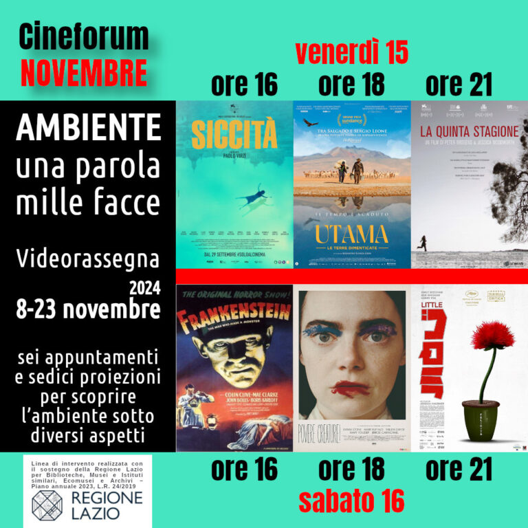 AMBIENTE, una parola mille facce – Cineforum in saletta venerdì 15 e sabato 16 novembre 2024