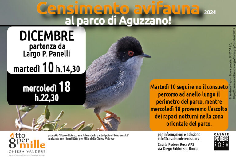 Censimento dell’avifauna, appuntamenti sul campo: martedì 10 e mercoledì 18 dicembre 2024