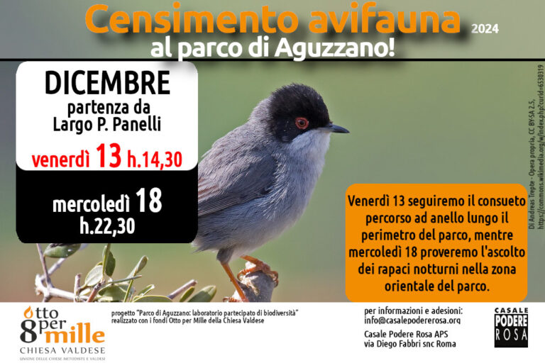 Censimento dell’avifauna, appuntamenti sul campo: venerdì 13 e mercoledì 18 dicembre 2024