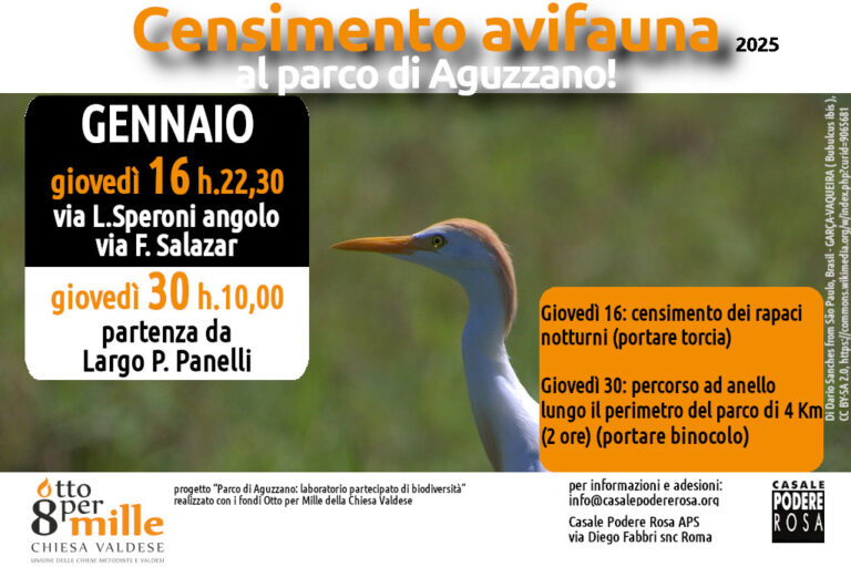 Censimento dell’avifauna, appuntamenti sul campo: giovedì 16 e giovedì 30 gennaio 2025