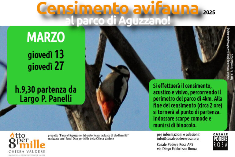 Censimento dell’avifauna, appuntamenti sul campo: giovedì 13 e 27 marzo 2025