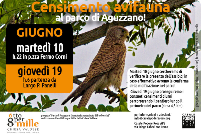 Censimento dell’avifauna, appuntamenti sul campo: martedì 10 e giovedì 19 giugno 2025
