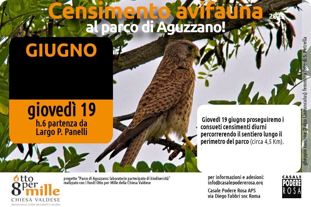 Censimento dell’avifauna, appuntamenti sul campo: giovedì 19 giugno 2025
