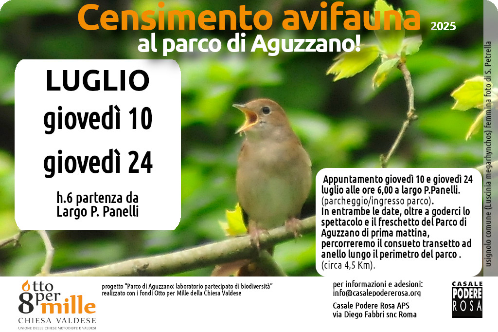 Censimento dell’avifauna, appuntamenti sul campo: giovedì 10 e giovedì 24 luglio 2025