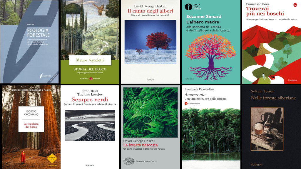 boschi&foreste, bibliografia del 10.06.2025