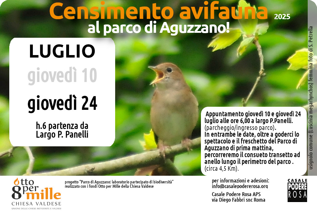 Censimento dell’avifauna, appuntamenti sul campo: giovedì 24 luglio 2025
