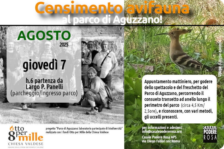 Censimento dell’avifauna, appuntamenti sul campo: giovedì 7 agosto 2025