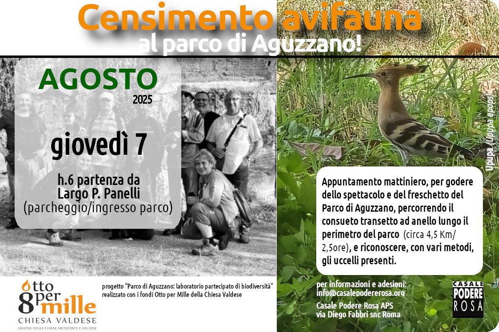 Censimento dell’avifauna, appuntamenti sul campo: giovedì 7 agosto 2025