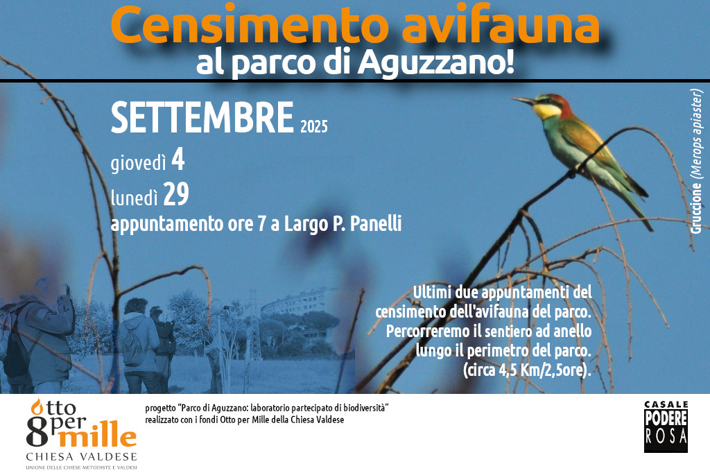 Censimento dell’avifauna, appuntamenti sul campo: giovedì 4 e lunedì 29 settembre 2025