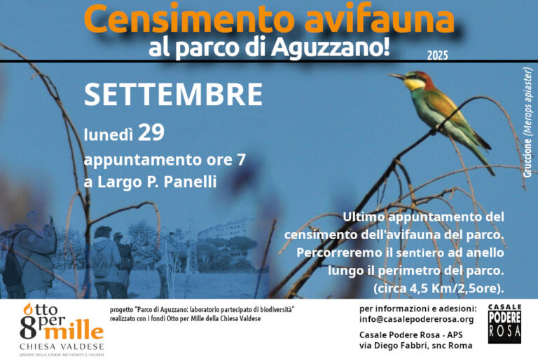 MercatoBIO sabato 20 settembre 2025