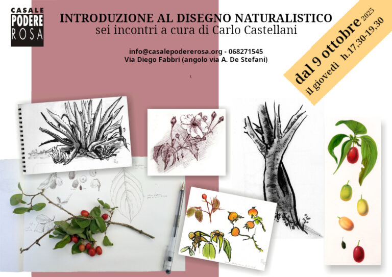 Corso: Introduzione al disegno naturalistico 2025