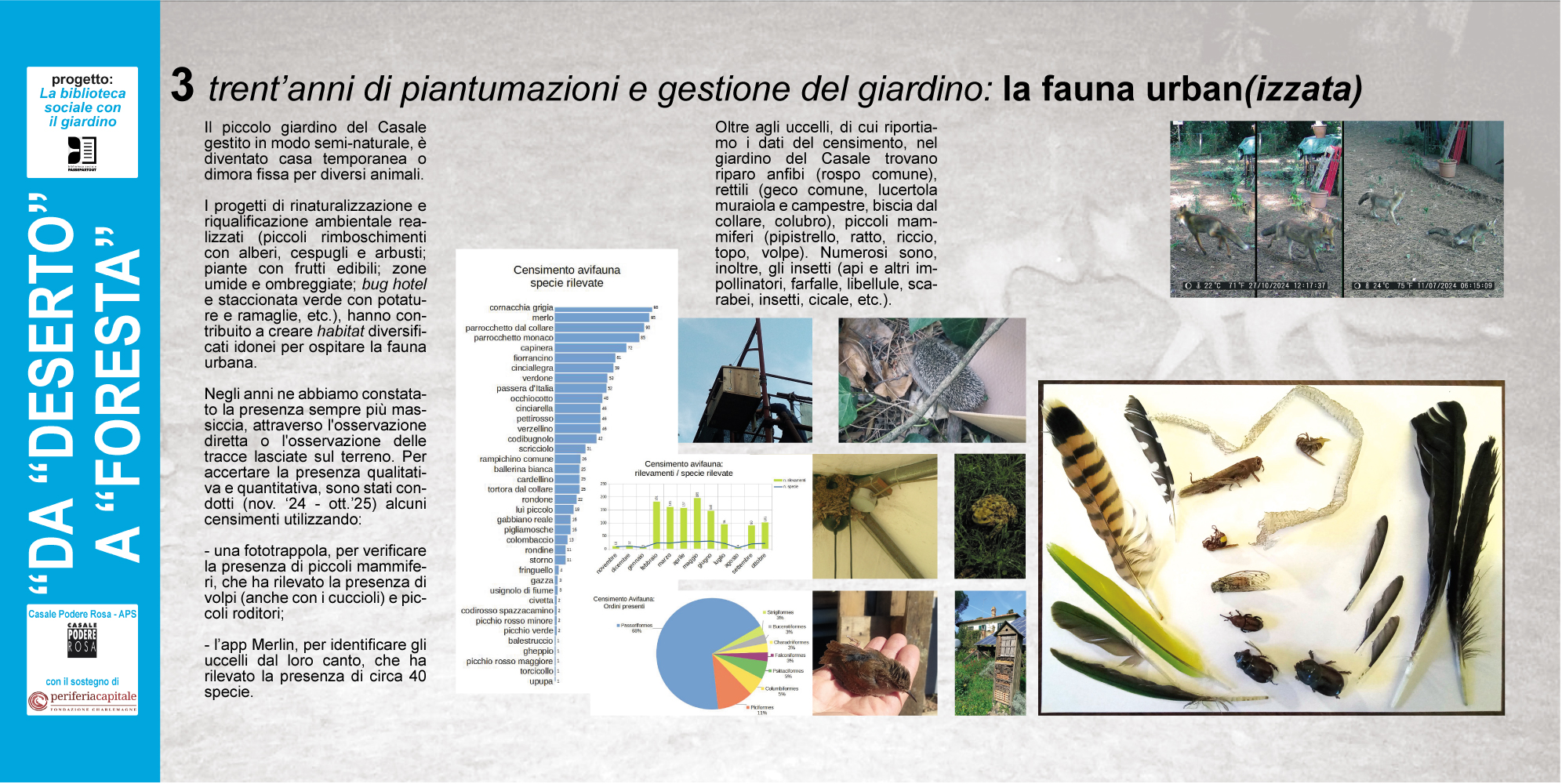 3. trent’anni di piantumazioni e gestione del giardino: la fauna urban(izzata)