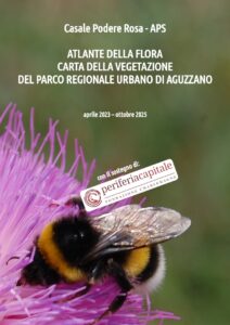 Fanelli, G., Malatesta, L., Petrella, S., La Montagna, D., De Santis, M. (2025). Atlante della Flora e Carta della Vegetazione del Parco Regionale Urbano di Aguzzano. [Casale Podere Rosa - APS Con il sostegno di periferiacapitale della Fondazione Charlemagne]