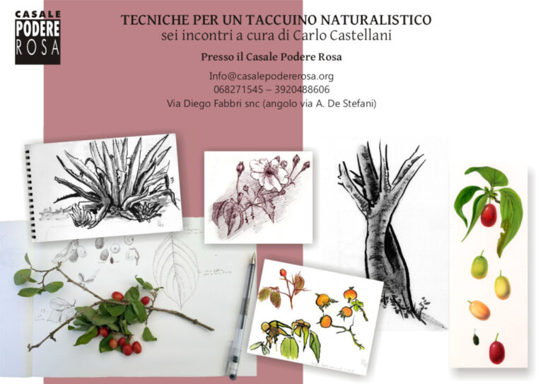 Corso: Tecniche per un taccuino naturalistico 2026