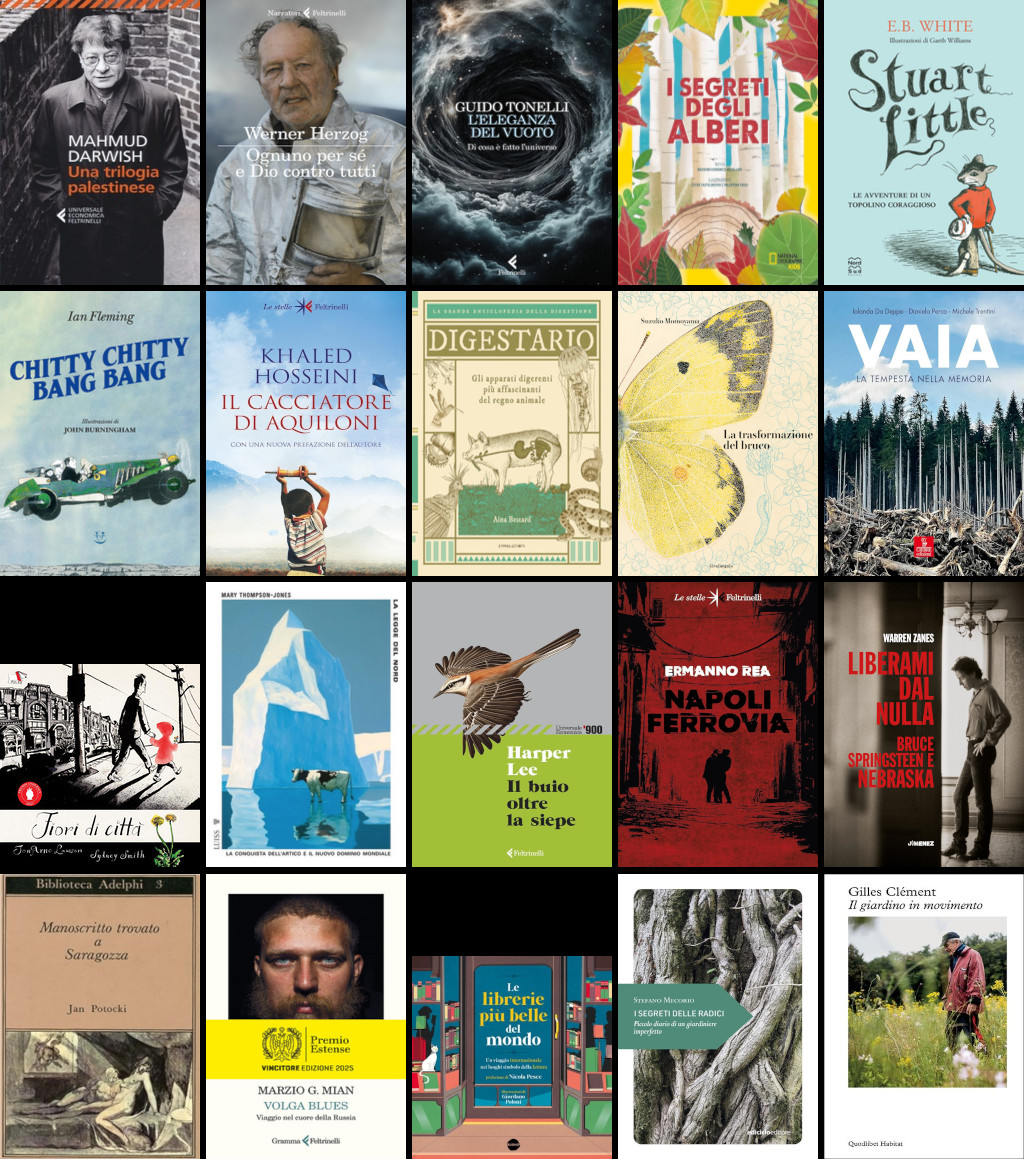 Nuovi in catalogo al 24.02.2026 / libri acquistati con “Contributo alle biblioteche per acquisto libri.” Edizione 2025-2026 - Fondo editoria libraria - D.L. 201/2024 art. 3 comma 2 (MIC D.M. n. 272 del 5 agosto 2025) / presso Libreria Spazio sette