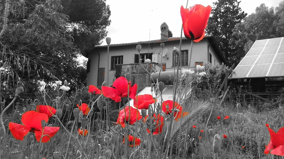 [Casale Podere Rosa APS - Biblioteca sociale Passepartout]