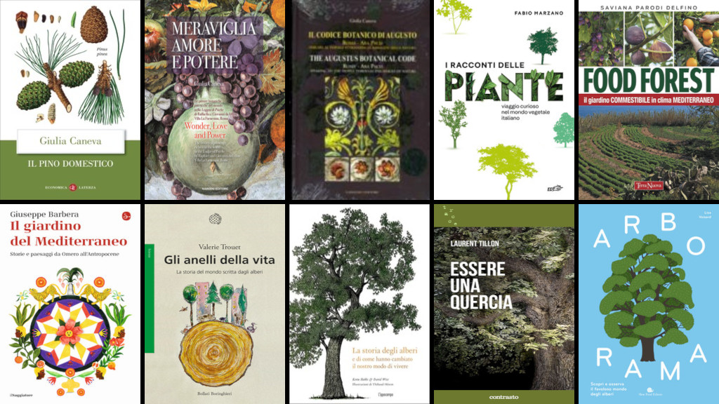 bibliografia per la visita guidata del 3 ottobre 2026