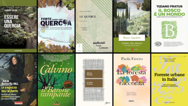 bibliografia per la visita guidata del 24 ottobre 2026